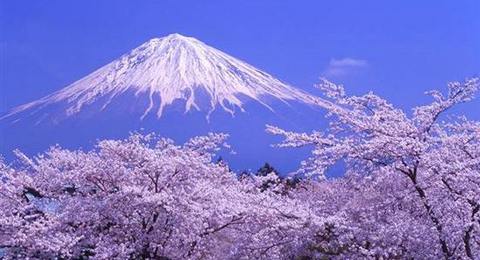 悠享时光—日本本州全景7日