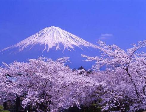 悠享时光—日本本州全景7日