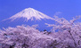 悠享时光—日本本州全景7日