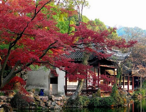 华东五市+黄山千岛湖、水乡“乌镇”、世博园单飞单卧12日