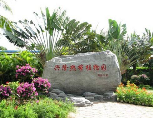 “雨林与海，经济盛宴”-三亚2+2自助行程