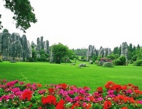 昆明、石林、大理、丽江、版纳4飞11日常规游