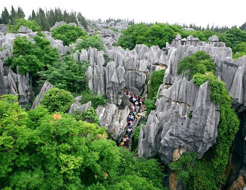 温泉游-昆明、石林、大理、丽江、版纳 4飞9日游