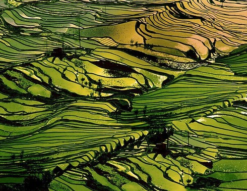 精品云南:昆明大理丽江版纳三飞10日游