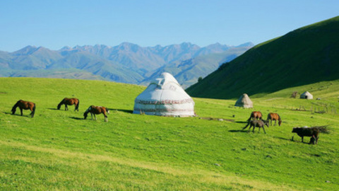 “大美新疆”—北疆伊喀环线观光游列7日品质游
