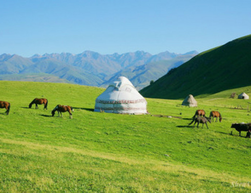 “大美新疆”—北疆伊喀环线观光游列7日品质游