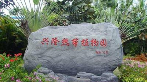 夕阳红：海南一地双飞6日游