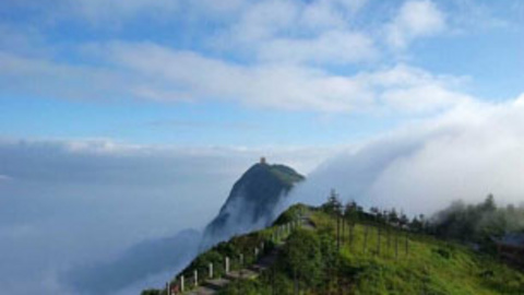 夕阳红:海南+广西+成都单飞15日游