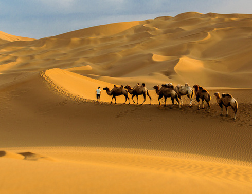 北疆休闲14日游，翻阅独库公路—吐鲁番、鄯善、可可托海、喀纳斯、禾木村、乌尔禾魔鬼城、赛里木湖、喀拉峻草原、那拉提草原、巴音布鲁克草原、独库公路