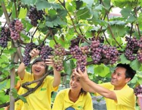 【北疆秋色摄影】来新疆旅游最美路线天池、吐鲁番、那拉提、巴音布鲁克、赛里木湖双飞8日游，天天发团，新疆旅行社力荐(图文)