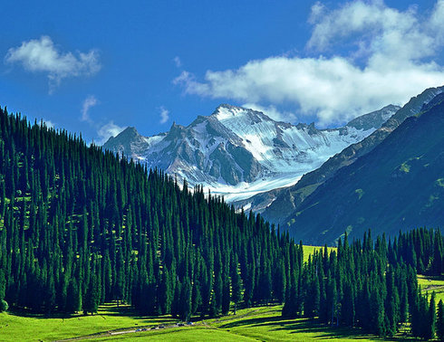 美好的大自然的宁静，那拉提、赛湖、巴音布鲁克双卧纯玩五日游，天天发团，新疆旅行社最美路线