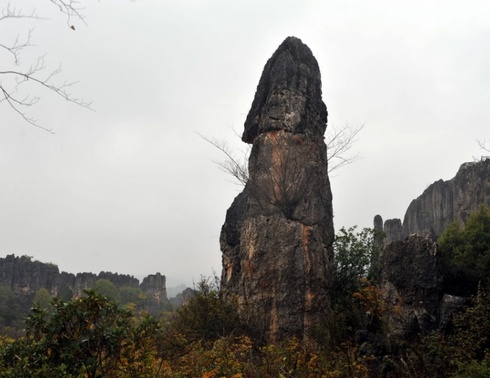 新疆旅行社推出品质亲子游，昆明 大理 丽江 版纳 云南大学4飞9日，天天发团