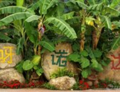 新疆到三亚纯净海洋双飞6日游【三亚一地】关注微信号立减100元