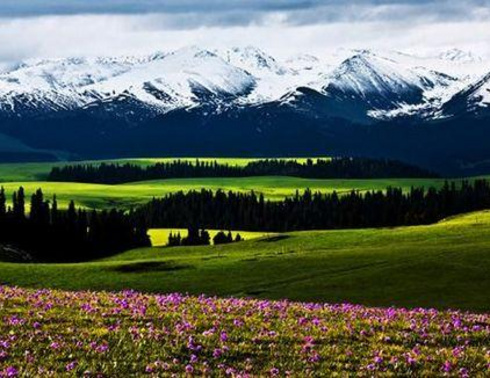 独山子大峡谷、赛里木湖、喀赞其、喀拉峻、巴音布鲁克、独库五日游