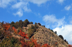  大西沟福寿山风景区