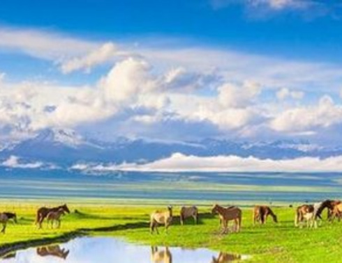 那拉提、巴音布鲁克、昭苏、喀拉峻、赛里木湖双卧七日游（品质）