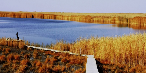  民丰县鱼湖 width=